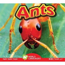 Ants Library Binding, Av2 by Weigl, English, 9781489665515