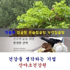 아침마당 접골탕(35일분):70팩 접골목 딱충나무 말오줌나무 우슬접골탕 녹각접골탕