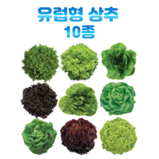 142dd342801a48c377d1869ed725b7a0c9c4d57e47ee8b392c36ae96a77b.png