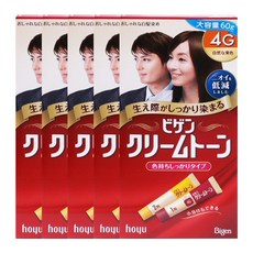 비겐크림톤 염색약 4G 자연밤색 60g X 5개