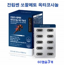 쏘팔메토효능