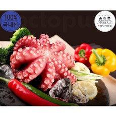 [명절 제수용추천] 국내산 명절 제수용 자숙 데친 통문어, 1개, 1.2~1.3kg