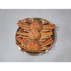 국내산 대게 활어 활대게 5마리, 1개, 1.7kg