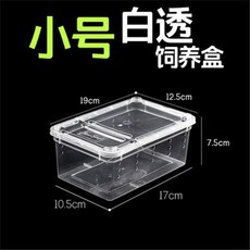 사육 상자 파충류 애완동물 우드 금붕어 4 02 투명 높이 아놀레, 스몰 화이트 비침 사육함