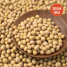 국산 백태 2kg 메주 콩 노란 흰 대두 콩국수 콩, 1개