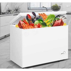 음식물냉동고 생선 해산물 냉동보관 식당 창고 급냉고, 228L 골드 에너지 효율 1등급