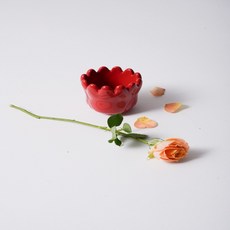 [UTGXCJ/20% ] 튤립 잔스괄사, 보라