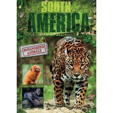 South America Hardcover, Booklife Publishing
