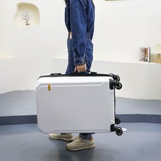 수트케이스캐리어