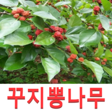 c48a93413c968d386fbe6d0b8f712aba5a88e3e095d85e3dd8d34d7ce4cd.png