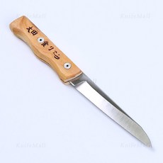 대전nextvas