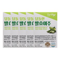 당돌한 발효여주 2g 30포 5통