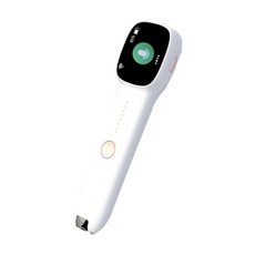 베스타영어사전