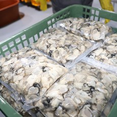[햇님어장] 통영 제철 굴 깐굴 1kg, 1세트