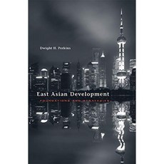 동아시아 개발 : 기초와 전략, 단일옵션, 단일옵션