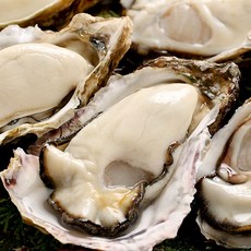 천북석화