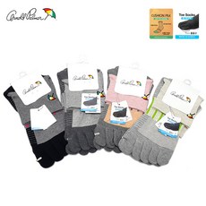 아놀드파마ap6901