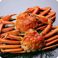 활 러시아대게 박달대게 5kg, 1개