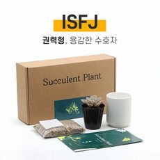 취설송키우기