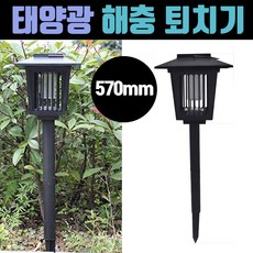 //상품명