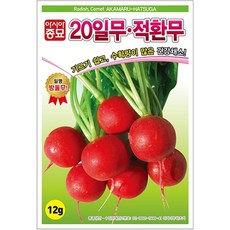 A-20일무적환무 120g 채소 종자