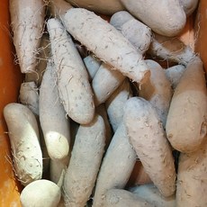 태산농장산마5kg