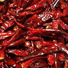 2022년햇고추시세