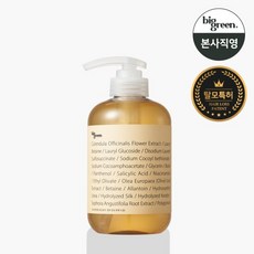 빅그린 탈모 카렌듈라샴푸 500ml /지성 두피, 단품