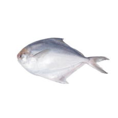 32c440875578f8d3109939b8dbaa28787a69dbfe4b81b43774227b1baf39.png