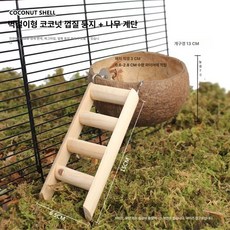 자연 시리즈 코코넛 쉘 작음 동물 은신처 서식지 냉각 효과 등반 기능 여름 사용 다양한, 1개
