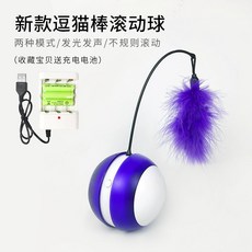 USB 지능형 자동 움직이는 애견 애묘 고양이 강아지 장난감 볼, 충전식 퍼플볼개