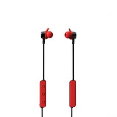 밴버드의어리석음