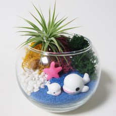 테라리움만들기 TOP01