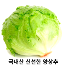 국내산 신선한 양상추 깔끔한 포장 다이어트에 최적의 채소 산지직송 착한가격 좋은품질 식자재 국산 다이어트 양상추, 6개, 3kg