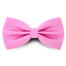 돌잔치나비넥타이