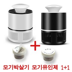 모스큐브클래스