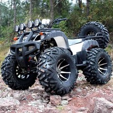 125cc오토바이수동