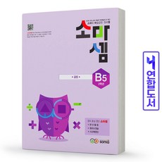 소마셈b단계