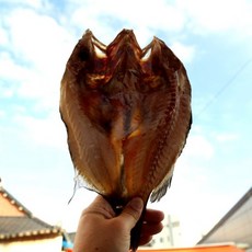 우럭찜 반건조우럭 30cm 전후 1마리 우럭탕 우럭조림, 2개