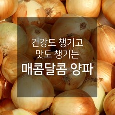 양파(3등)