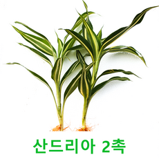 d6fa13a52631e36f0273dd04ce7d5d4850f424acfc92fadf00a308c53b79.png
