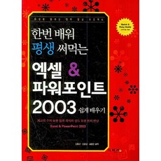 한번 배워 평생 써먹는 엑셀 & 파워포인트 2003 쉽게 배우기:몸값을 올리는 업무 향상 프로젝트, 이비컴