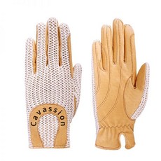 제주승마레슨비용