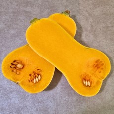 농장직송 땅콩호박 버터넛스쿼시 3kg, 땅콩호박(버터넛스쿼시)5kg, 1개