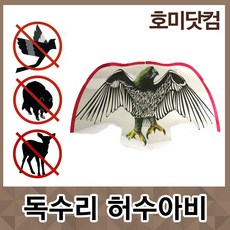 호랑나비먹이