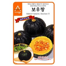 단호박씨앗종자 보우짱 씨앗 100립 강분질 미니단호박