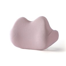 몽슈레목보호쿠션