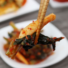 보름달식당 가정식반찬 수제반찬 골라담기 반찬 나물볶음 국 찌개 탕 모음 151종, 김치 6. 열무김치 220g*2팩