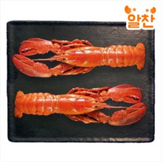 자숙 랍스터 350 - 450g, 랍스터 1마리 350-450g