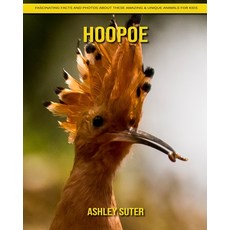 Hoopoe: Fascinating Facts and Photos about These Amazing & Unique Animals for Kids Paperback, Independently Published